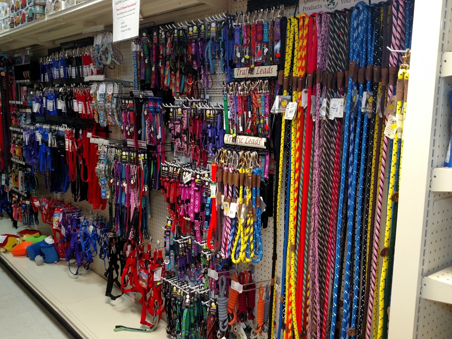Wall of collars and leashes