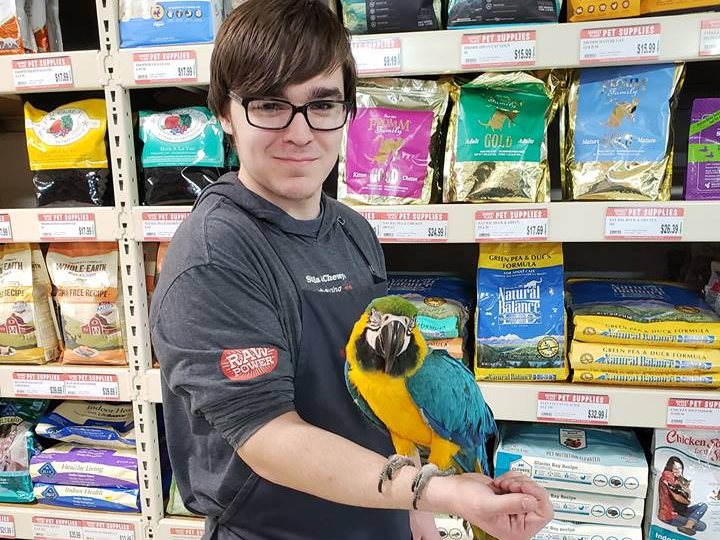 Staff member holding a parrot